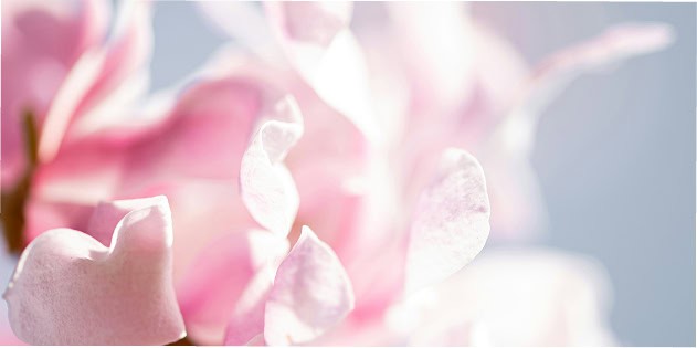 Schönes Blütenbild für Hautpflege und Ästhetik im Centrum Aestheticum.